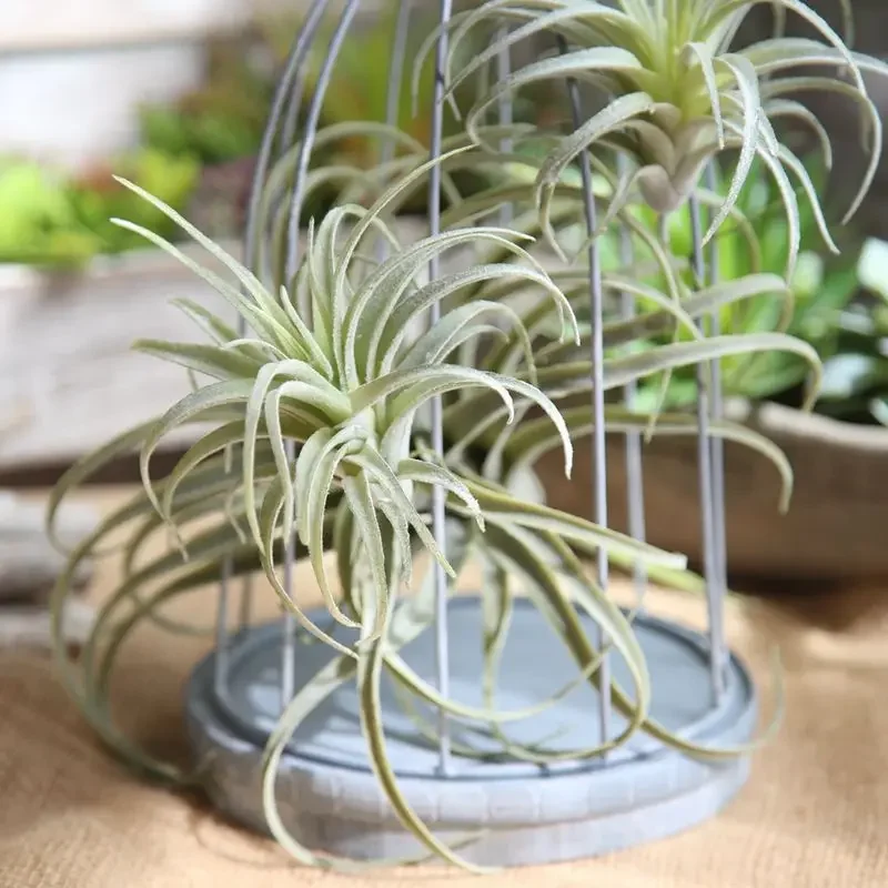 Chive Air Plants, Faux, Artificial, Fake  for Indoor Outdoor Garden and Home Decor, Terrarium Decorations, Arrangements SF48401