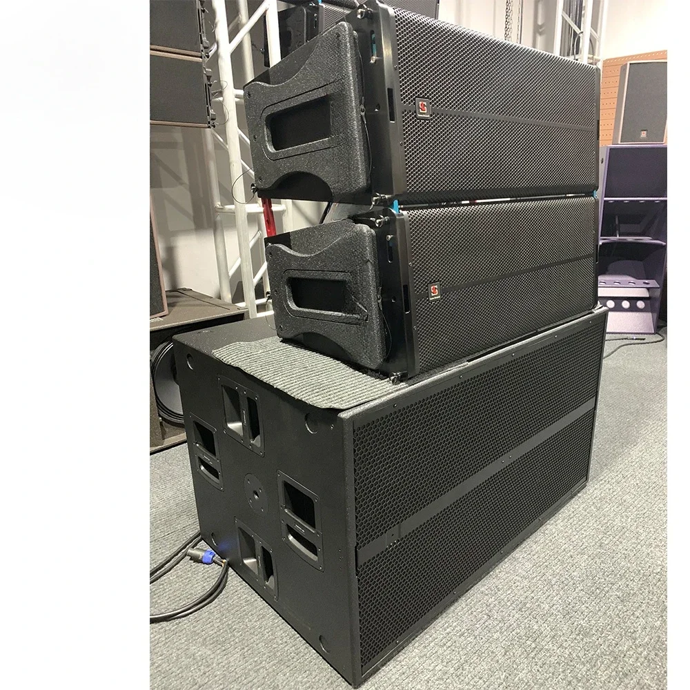 

Dual 12 inch Passive/Active Linear Array Speaker 800W System