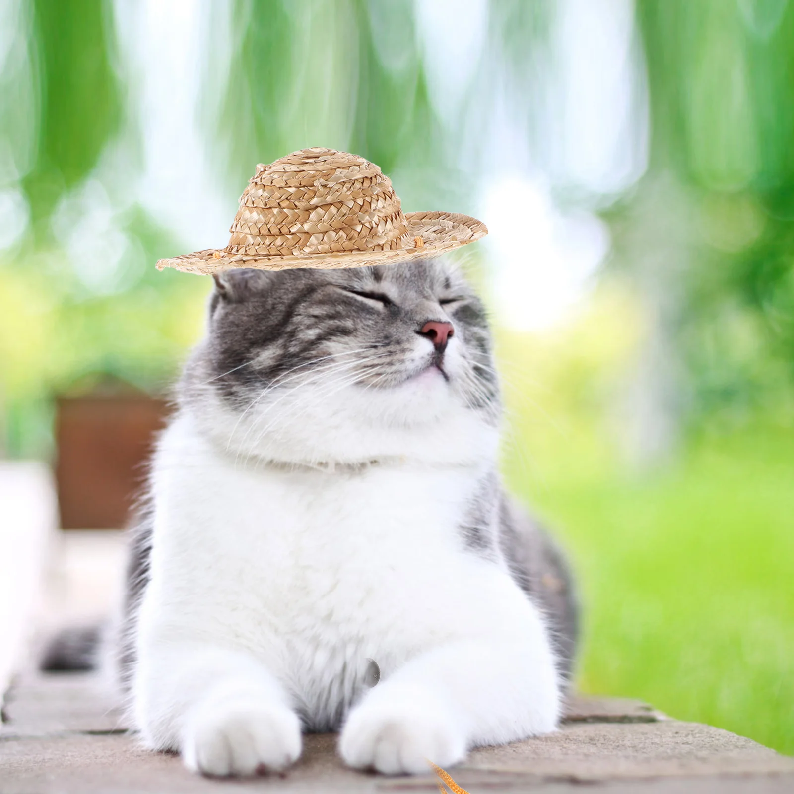 

Pet Sun Hat For Dogs Adjustable Straw Hat Outdoor Garden Beach Protection Uv Dog Accessories Small Puppy Cats M