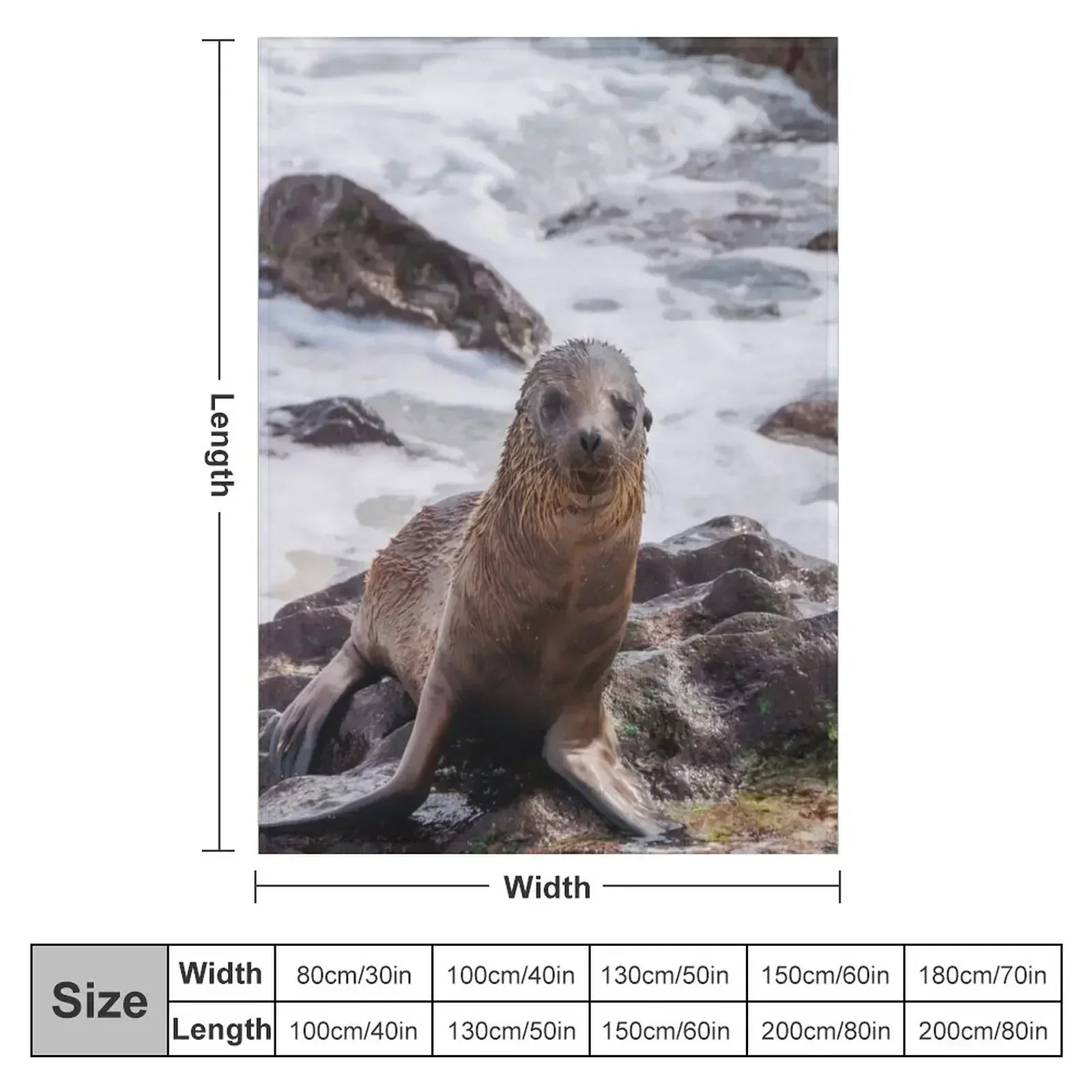 Sea Lion on the Shore Throw Blanket couch cozy soft plush fuzzy picnic outdoor blanket