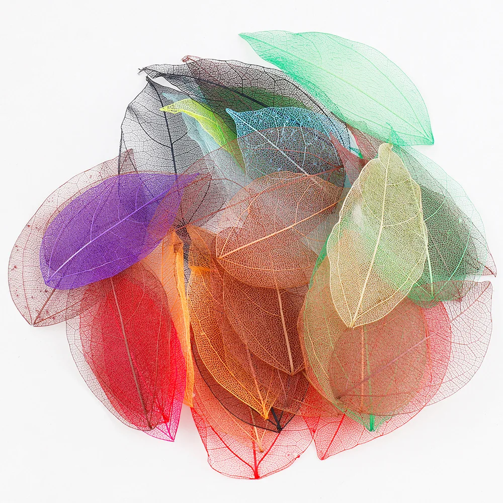 20/100PCS/Set 5~9CM*2~3.5CM Véritables veines de feuilles de Vajra naturelles séchées, feuilles squelettées séchées pressées, décoration de mariage DIY