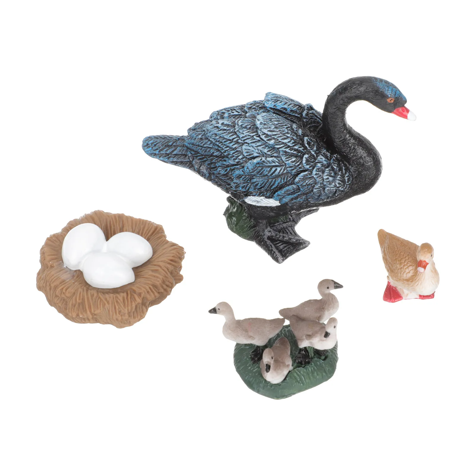 1Set Ocean Animal Growth Cycle Swan Learning Kit Educational Cognitive Swan Life Cycle Nature Exploration Kids Biological