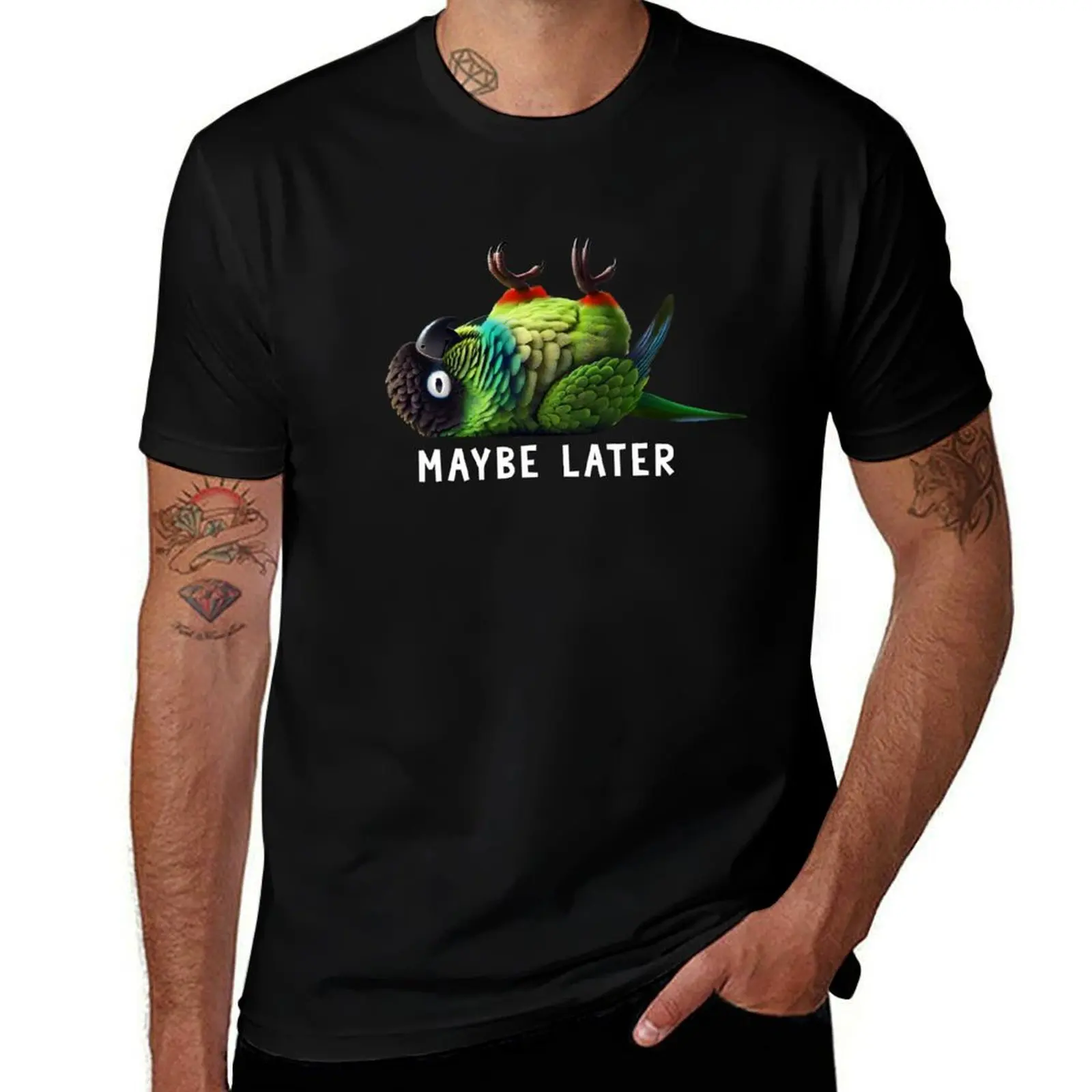 Забавная футболка Nanday Conure Maybe Later Cute Parrot Lover Birding, большие футболки с животным принтом для мальчиков для мужчин
