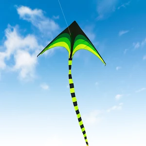 Yongjian Large Delta Kite für Kinder und Erwachsene, leicht zu fliegen, riesig, mit 6m Schwanz, Outdoor -Spielzeug ausgestattet 6 Hauptverkaufspipa -Flugzeug - №1