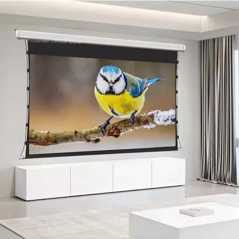 ALR Black Diamond Motorized Tab-Tensioned Electric Projection Screen Recessed in-ceiling Screen for Long Throw Projector 4K 3D