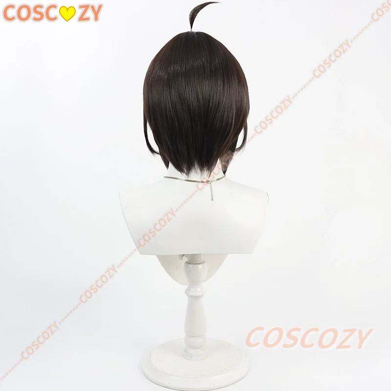 Fate fgo misterioso ranmaru x peruca cosplay misterioso ranmaru x 30cm curto marrom escuro peruca resistente ao calor cabelo sintético dia das bruxas