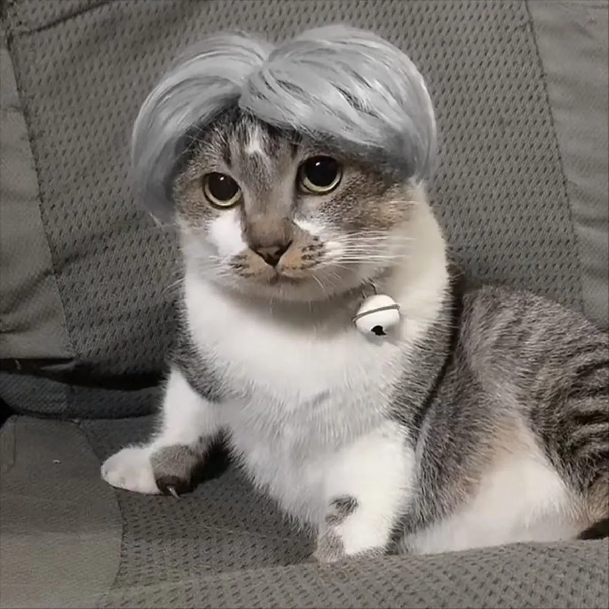 【HOT ITEMS】A Pet Wigs Cosplay Props Funny Dog Cats Cross-Dressing Hair Hat Costumes Head Accessories for Halloween Pets Supplies