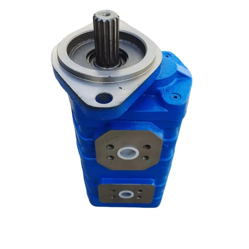 

Drilling Rig Mechanical Gear Pump CBGJ3-3 Double Connection Series Gear Pump
