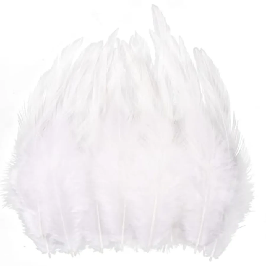 

Feathers for Crafting, 240pcs 5-7inch White Craft Rooster Feathers, Saddle Hackle Feather, Bulk Feathers for Wedding Home Party
