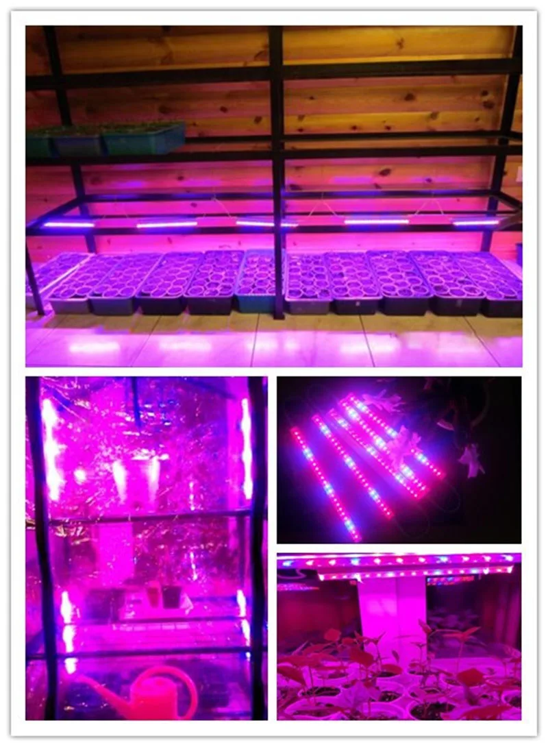 1/5 Uds. Luz Led para cultivo de plantas, tubo T5, cultivo de vegetales rojo y azul para plantas de flores, invernadero hidrointerno, tienda de cultivo, macetero