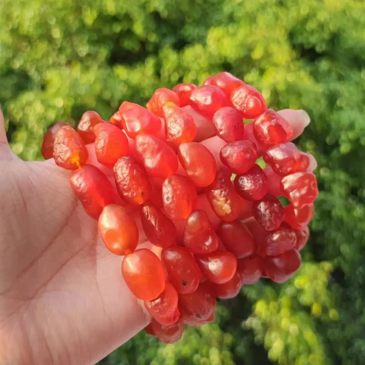 1pcs/lot precious rare pure red natural gobi agate rough stone bracelet medium large noble Generous folk-custom gem jewelry taki