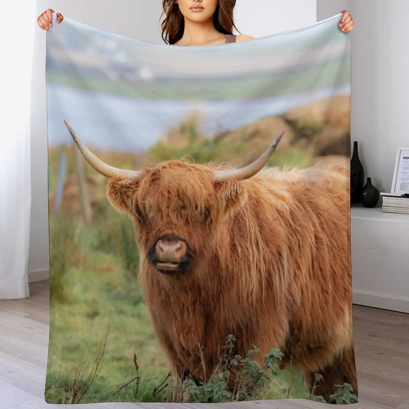 

Long haired Highland cattle - Highland cow, Highlander, Heilan coo - Thurso, The Highlands, Scotland Throw Blanket