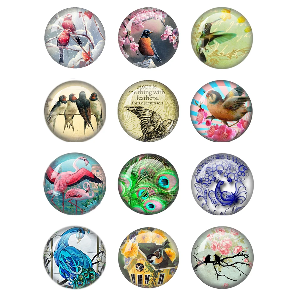 New Watercolor Painting Birds Pictures 12pcs Mix 12mm/16mm/18mm/25mm Round Photo Glass Cabochon Demo Flat Back Making Findings