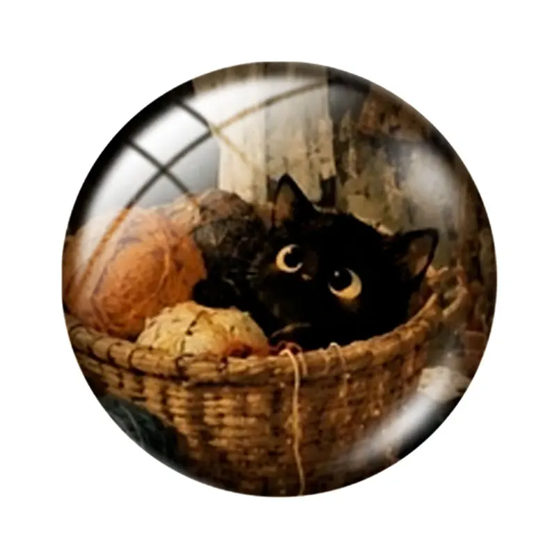 Retro Fantasy Art Cat  12/18/20/25mm glass cabochon  bracelet pendant rings for jewelry demo earrings back Making findings