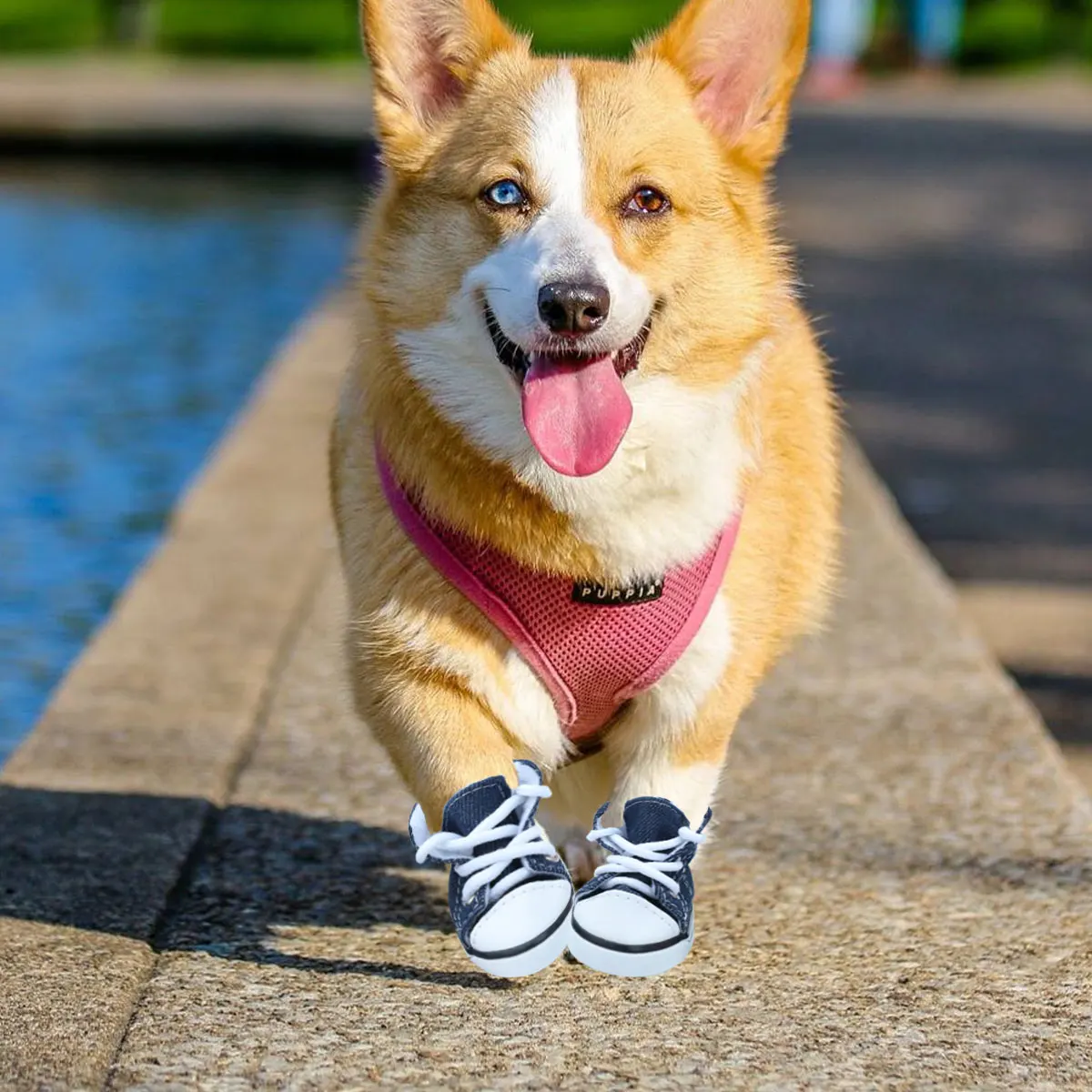 

4pcs Fashion Stars Denim Pet Dog Puppy Non-slip Lace-up Casual Shoes Sneakers Boots - Size XS (Blue)