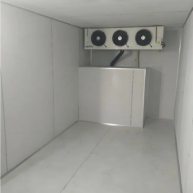 10 '20' 40 'Solar Refrigerated Container Freezing System with Copeland Compressor Engine