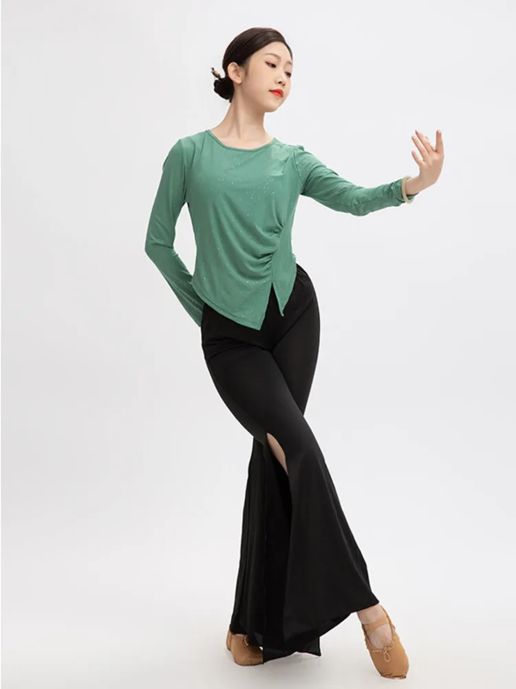 Classical Dance National Modern Dance Long Sleeve Top Gauze Elegant Female Chinese Style Pants Dance Clothes 2024 Summer