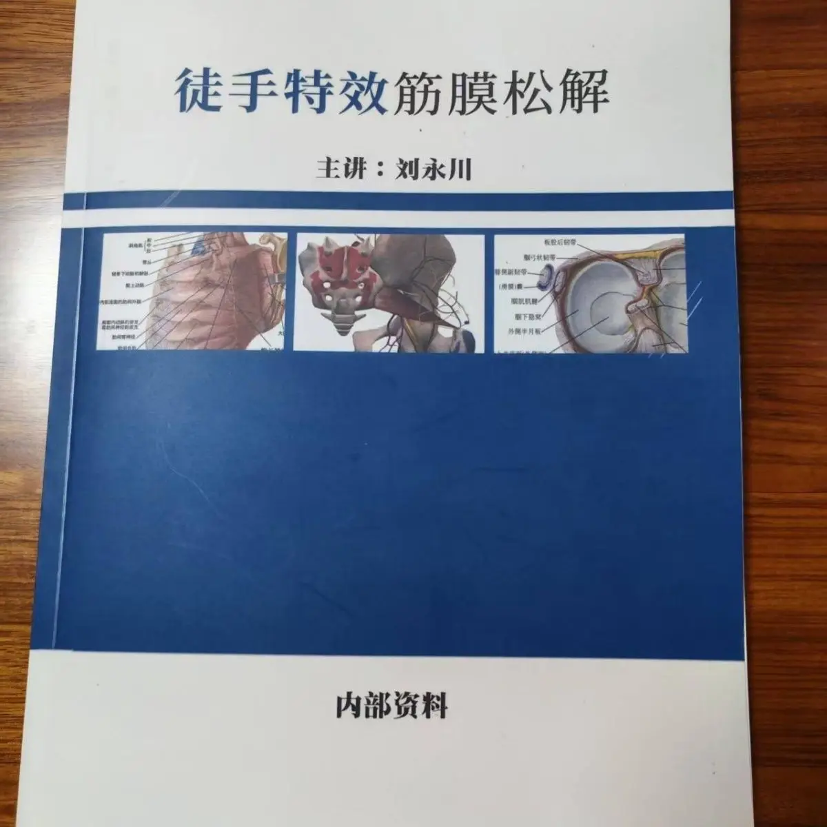 Manual special effect fascial release surgery anatomy knowledge fascial release flexible orthopedic book