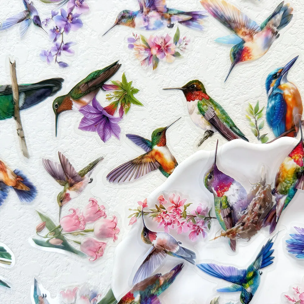 50 stuks Hummingbird PET-stickers stickers voor telefoon laptop notebook skateboard koelkast DIY esthetische transparante stickers - afbeelding 2