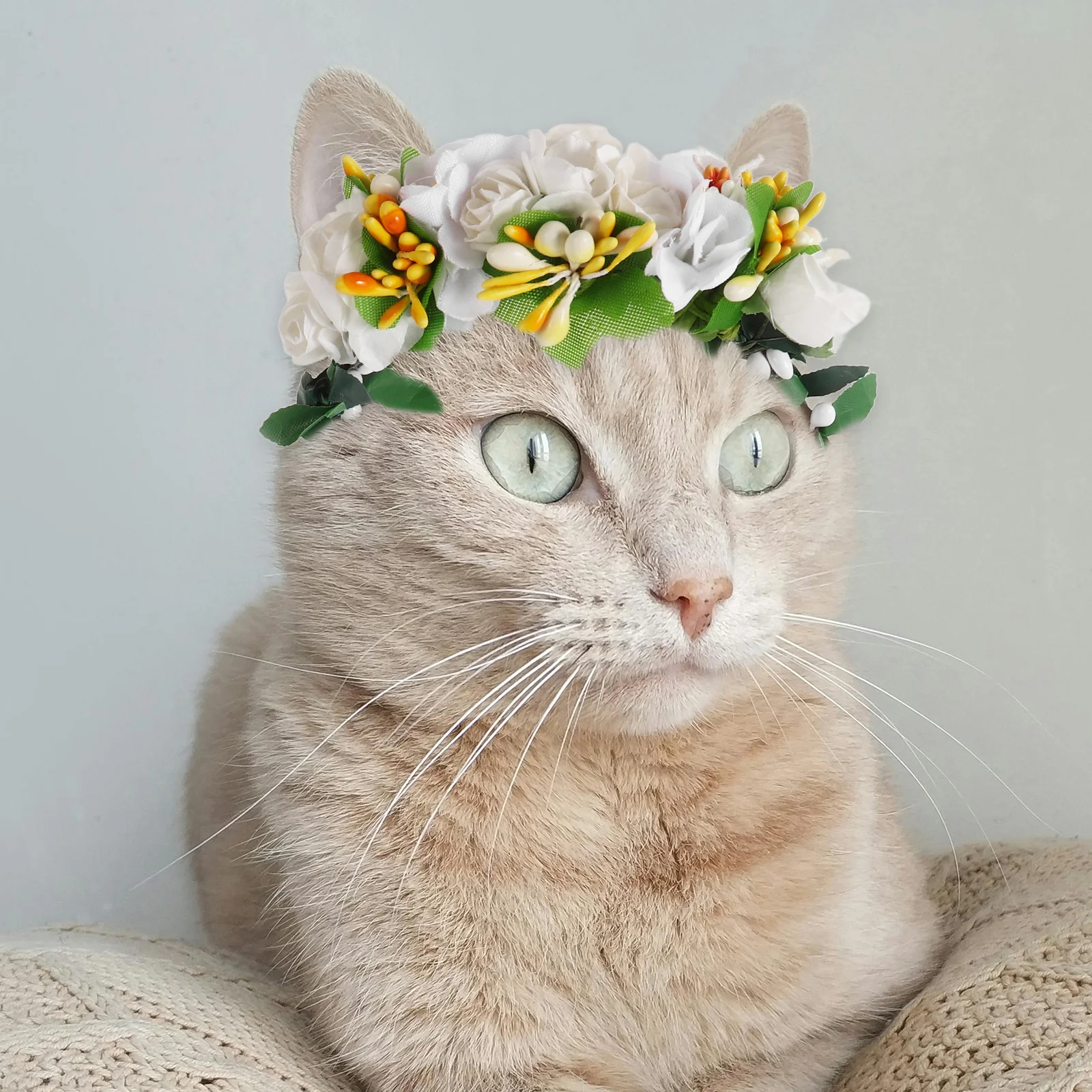 

1pcs Dog Cute Headband Reusable Durable Wreath Collar For Cats Dogs Comfortable Cat Headdress Party Wedding Birthday Photos Pet