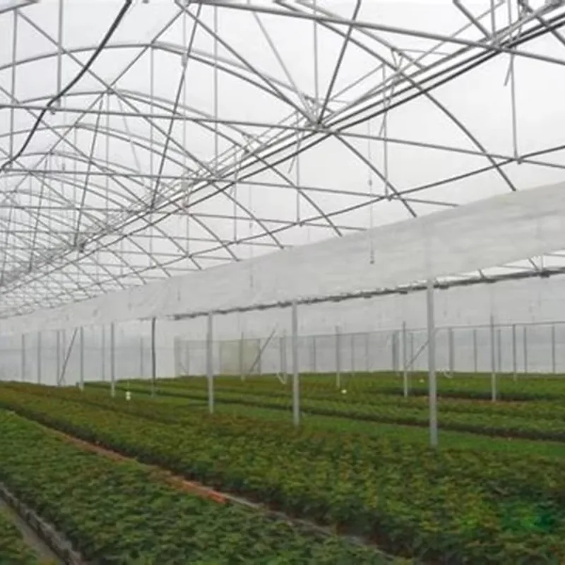 โรงเรือนเกษตรขนาดใหญ่พร้อมแผ่นพีซีสำหรับระบบไฮโดรโปนิกส์แบบหลายช่วง