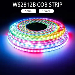 WS2812B COB RGBIC 픽셀 LED 스트립, 개별 주소 지정 가능, WS2812 스마트 RGB 드림 컬러 테이프 DC5V, 60, 100, 160LED/m 라이트, 5mm, 10mm