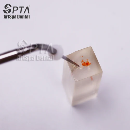 Imagen 2 del producto Pluma Dental de gutapercha, puntas calentadas, agujas de enchufe para sistema de obturación Endo, accesorios dentales, Pin calefactor de relleno de fusión en caliente