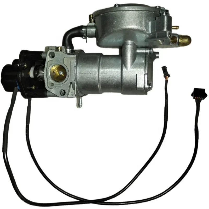 LPG LNG Gasoline Multi-Fuel Carburetor W/ Step Motors For WSE5000 Series 5KW DC Generator Or Most Other Market 5000W Extender