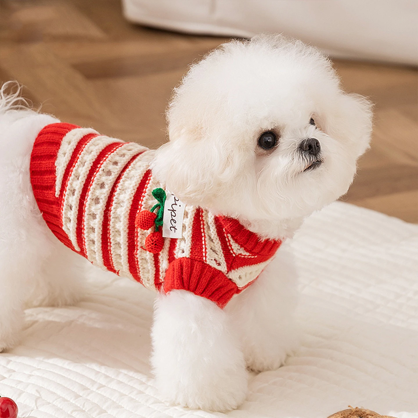 Picture 6: Maltese Cherry Sweater Dog Winter Clothes Yorkshire Terrier Fashion Striped Pullover Warm Dog Knit Sweater