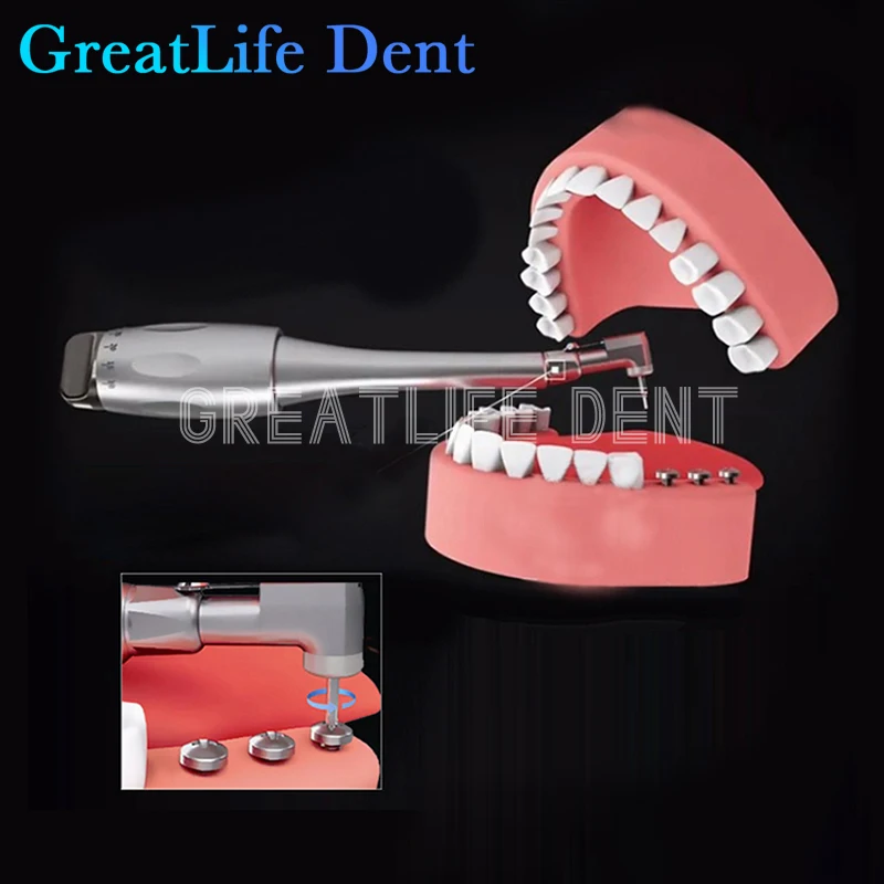 

GreatLife Dent Dental Equipment Handpiece Surgical Abutment Tool Driver Implant Torque Wrench Dental Implant Torque Wrench