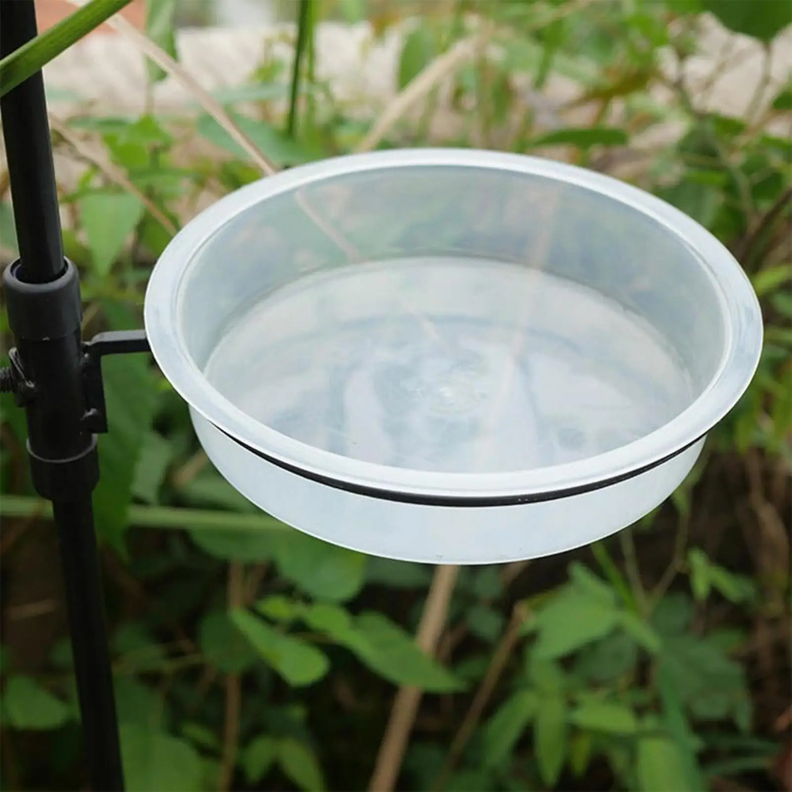 Bac de remplacement pour mangeoire à oiseaux, bol d'eau rond transparent, bain suspendu transparent pour l'observation des oiseaux en extérieur, pour jardins et terrasses extérieurs