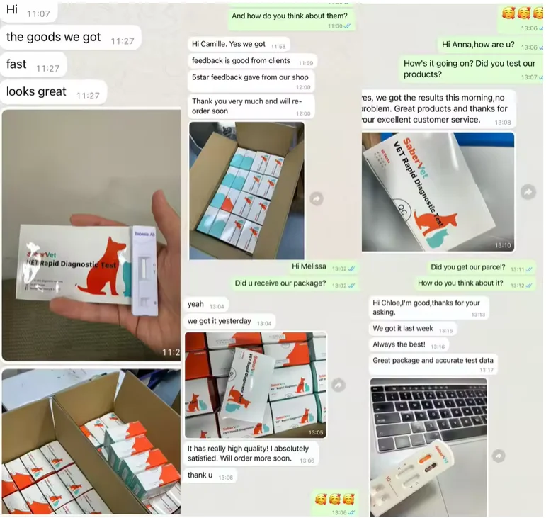 Allergy test Kit T&S IgE Can Detect 80 Allergy Substances Animal Health Diagnosis Vet Products Dog Allergy test for Dog