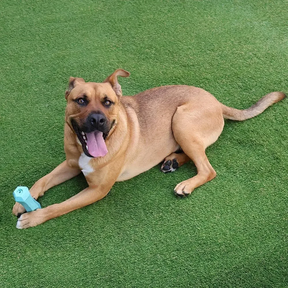 Synthetic Turf Mat 6x6 ft: Safe for Indoor/Outdoor, Pet & Child-Friendly, Multi-Use Lawn Alternative