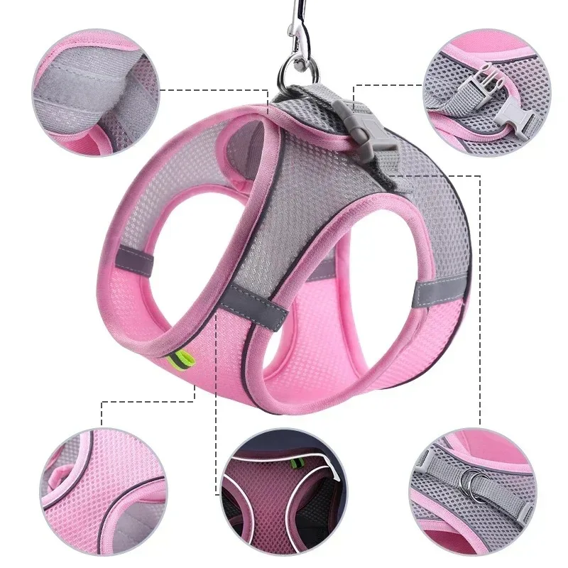 Ensemble Harnais et Laisse pour Petits Chiens (Bouledogue Français, Chihuahua, Pug) – Harnais Réglable pour Chiot et Chat, Idéal pour la Promenade en Extérieur