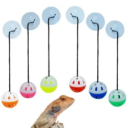 Pet Lizard Toy Reptile Toy Bell Ball with Sucker and Rope Lizard Small Animal Bearded Dragon Toy Supplies