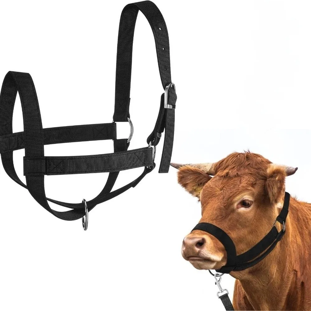 Animal Bridle Adjustable Cow Halter with Lead Nylon Durable Horse Halter Heavy Duty Comfort Fit Calf Training Rope Outdoor Use