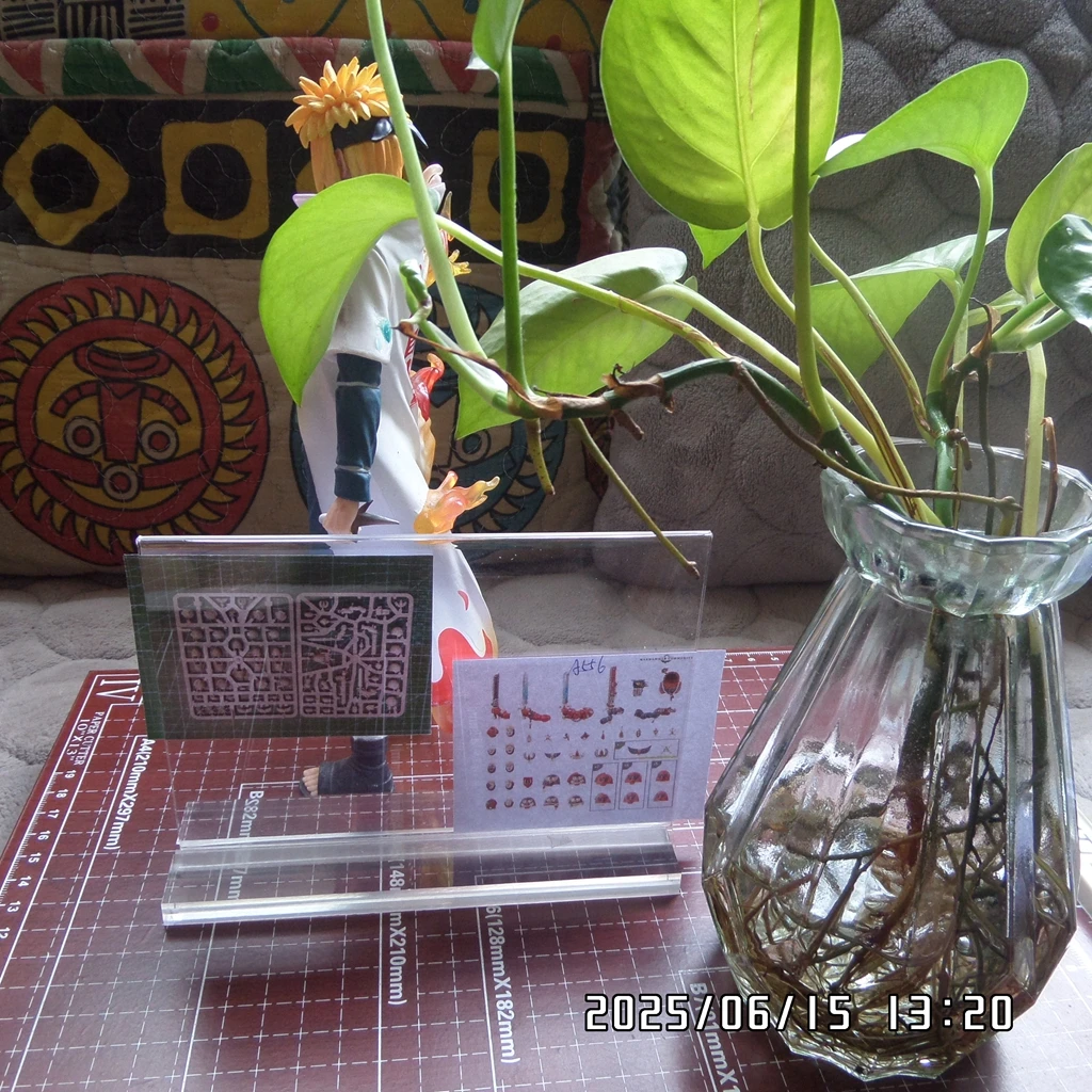 

12.08 Order 10 B185 Model customization