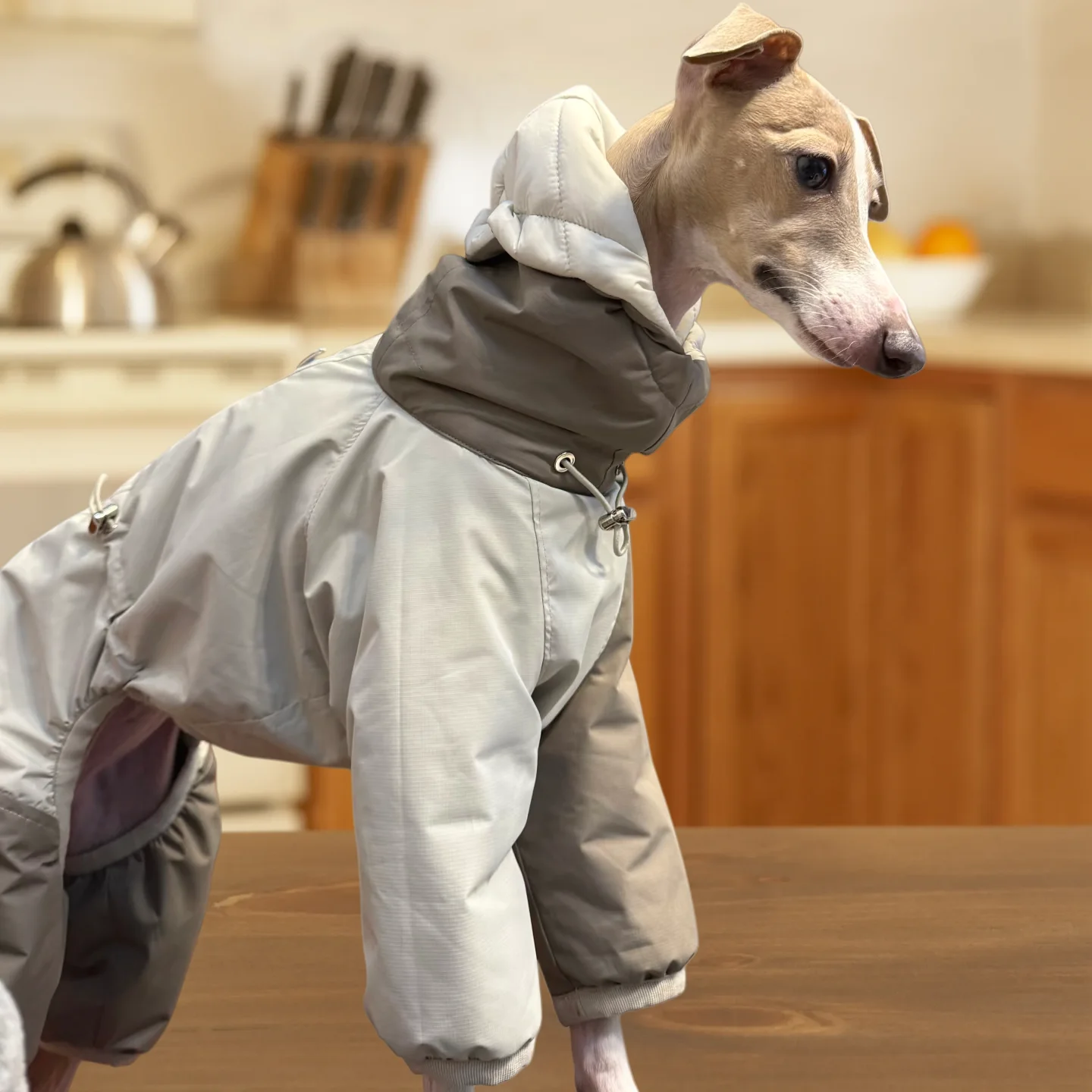 ropa-para-bedlington-en-invierno-chaqueta-termica-ligera-de-algodon-para-italia-greyhound-abrigo-impermeable-calido-de-4-patas-para-perros