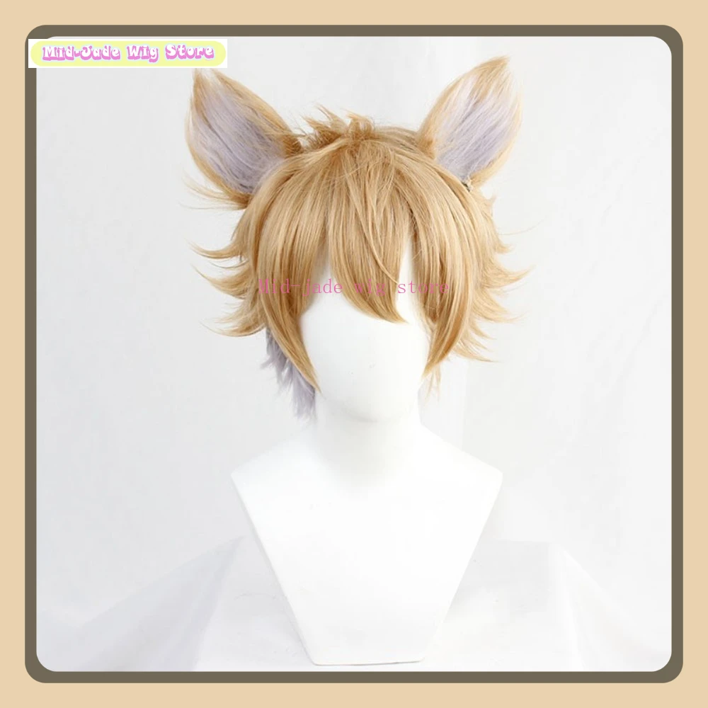 Parrucca cosplay Twisted Wonderland Ruggie Bucchi Anime Cosplay Party Capelli sintetici resistenti al calore + orecchie Negozio di parrucche Mid-jade