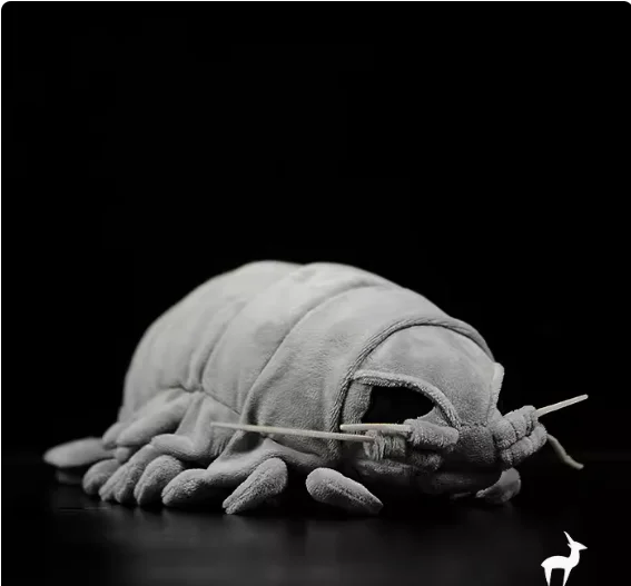 

Hight quality 50cm.30cm.12cm Sea Creature Giant Isopod Realistic Stuffed Soft Animal Toy For Children Bithday Gift