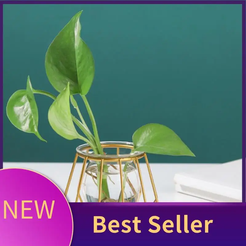 

ABLU-Terrarium Retro Iron Line Vase Hydroponic Plant Flower Vase Home Decor Metal Plant Holder Nordic Styles Vases Decor Home Du