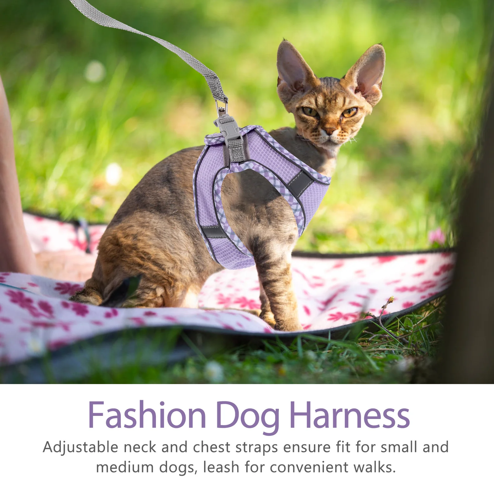 

1 set Dog Harness With Leash Set Adjustable Pet Vest For Small Medium Dogs Anti-Escape Lightweight Comfortable Outdoor Walking