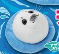 Seal Pup