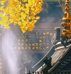 راديو أندرويد لشركة فولكس فاجن فولكس فاجن لوبو 1998-2005 سيارة الوسائط المتعددة أندرويد السيارات ستيريو 1 الدين رئيس وحدة Carplay Autoradio BT WIFI