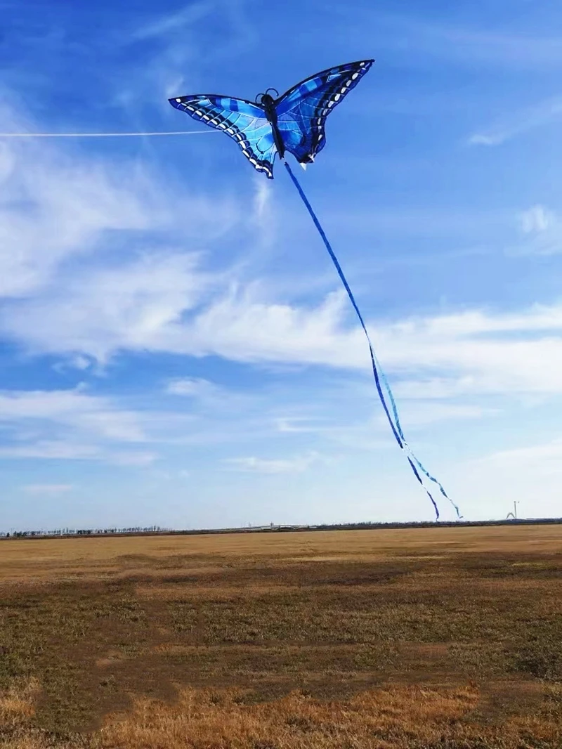 Cometas de mariposa para niños, juguetes voladores, línea de cometas de nailon, fábrica profesional, cometas de viento, paracaídas, windsurf, envío gratis