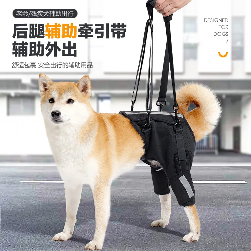 

Dog Assistance Traction Belt with Breathable Fishing Bone Protection Support Spine Dog Training Upstairs Pet Protective Gear