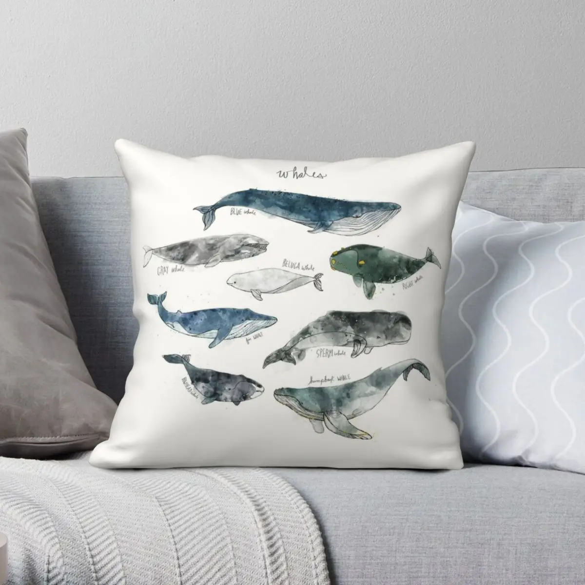 

Whales Animal Chart Square Pillowcase Polyester Linen Velvet Creative Zip Decorative Throw Pillow Case Car Cushion Cover 45x45