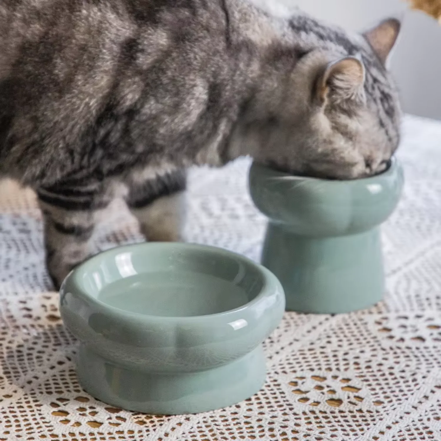 Pengumpan lambat melindungi tulang belakang tengkuk gaya kartun keramik kaki tinggi tinggi tinggi tinggi anjing kucing tinggi mangkuk pakan