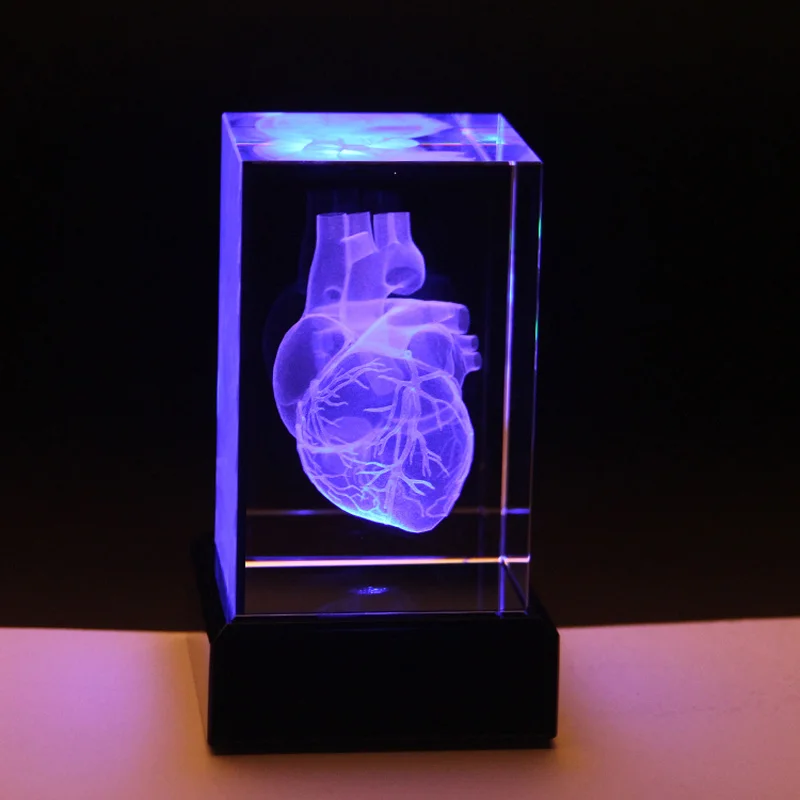 Heart Anatomy Model Design Cube Crystal 3D Laser Crystal Engraving With Detailed Visible Blood System For Hospital Souvenirs