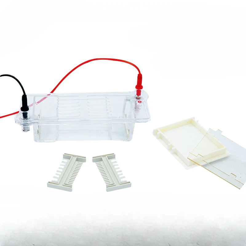 Large electrophoresis instrument DYCP-32A/B/C gel dosing comb in the lipose electrophoresis tank